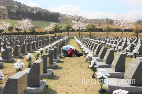 4·3행불인 묘역의 어머니(김춘화) 비석을 찾은 김정남 유족이 올리고 있다. (사진=제주투데이)