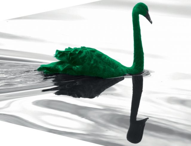 국제결제은행(BIS)이 2020년 1월 20일 펴낸 ‘기후변화 시대의 중앙은행과 금융안정’ 보고서 표지.(사진=제주환경운동연합 제공)