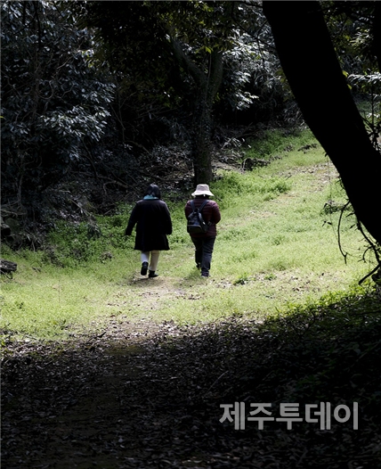 호젓한 새미숲길을 걷다. (사진=김일영 작가)