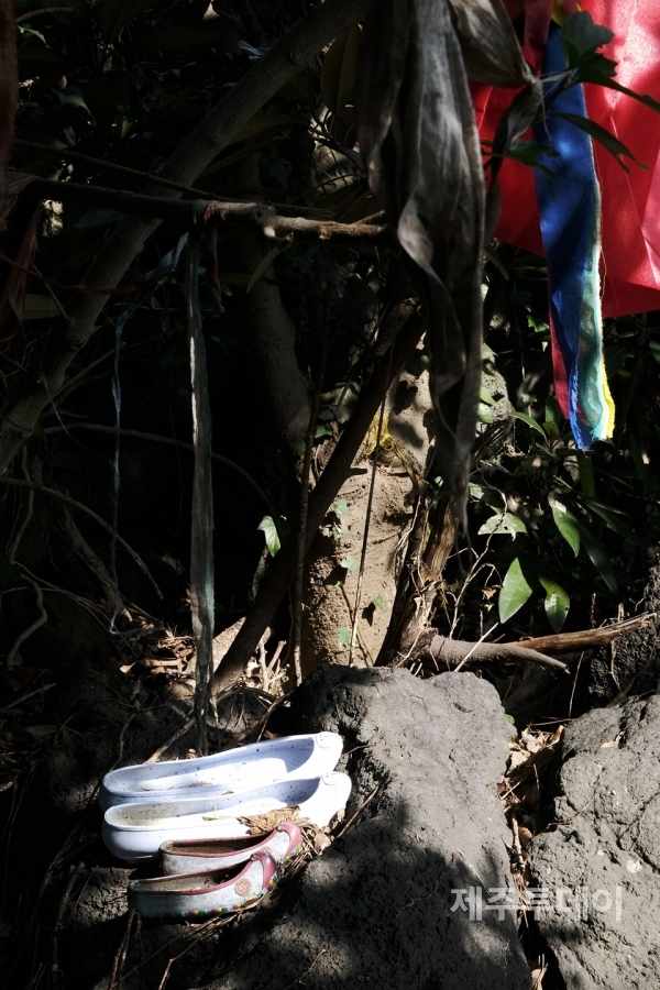 오름허릿당 신목 팽나무 가지마다 지전물색이 걸려있다. (사진=김일영 작가)