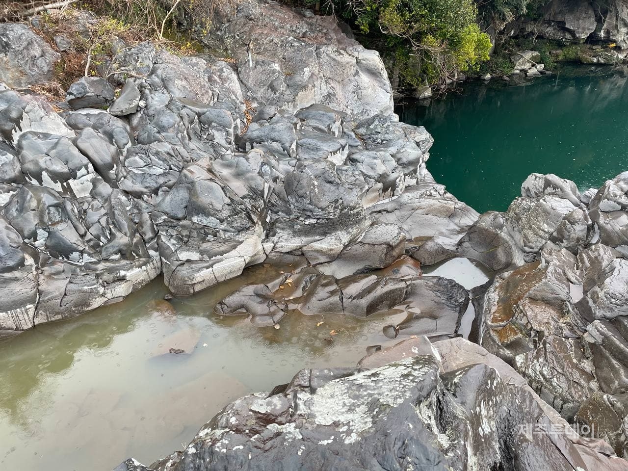 서귀포상수원 냇길이소로 유입되는 오염수.(사진=강정군사도로대응팀)