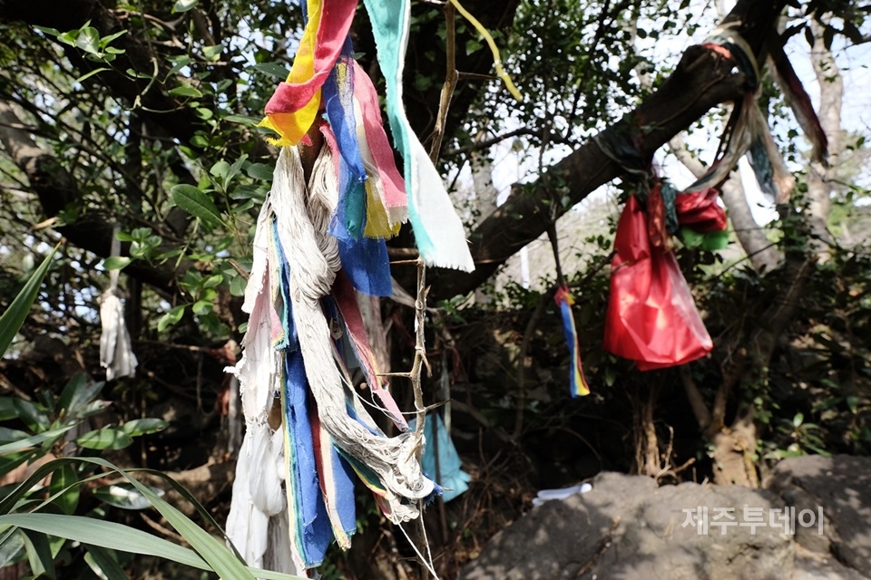 빛바랜 지전물색과 새 지전물색은 당의 역사를 대변한다. (사진=김일영 작가)