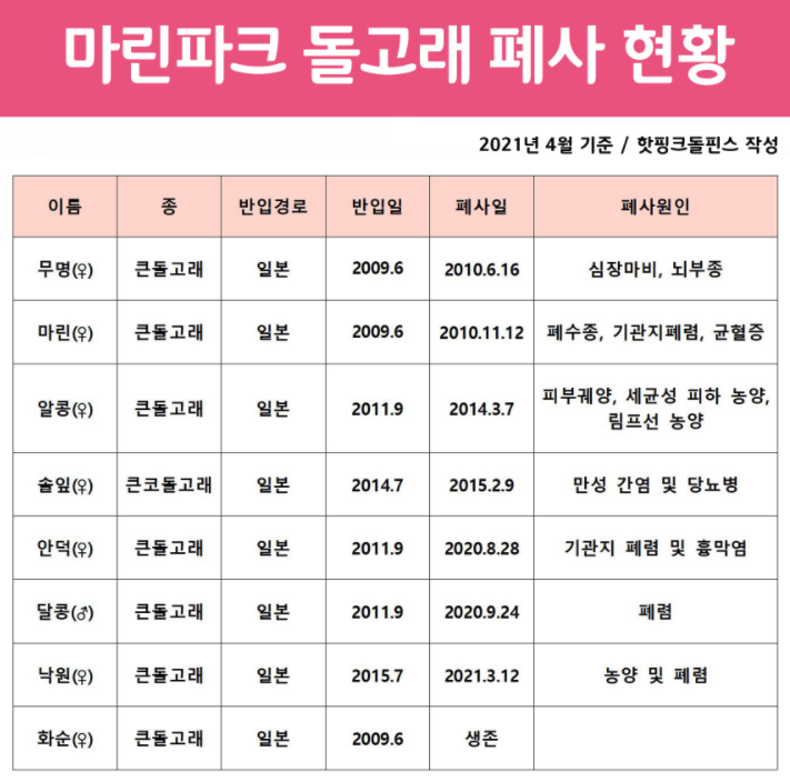 제주마린파크 반입 돌고래 폐사 현황(표=핫핑크돌핀스 제공)