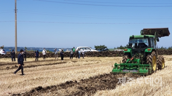 제주특별자치도 농업기술원 동부농업기술센터가 트랙터 부착용 파쇄기를 이용해 땅콩밭 보릿짚을 파쇄하고 있다. (사진=제주특별자치도 제공)