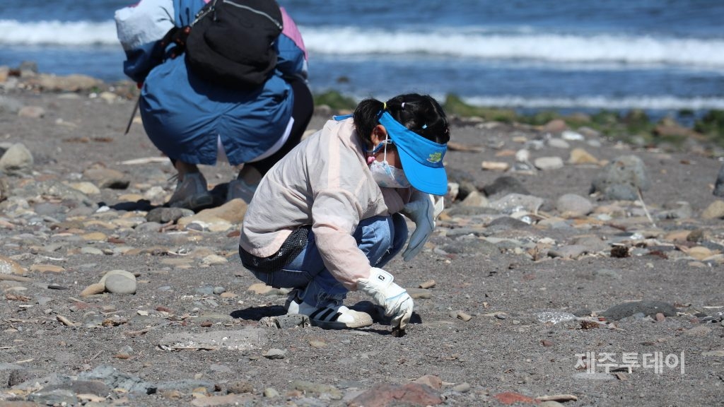 제주환경운동연합은  2021년 5월 29일부터 6월 26일까지 3차례에 걸쳐 제주 해안 쓰레기를 줍고 어떤 쓰레기가 많이 버려지고 있고 그에 따라 어떤 문제가 발생할 수 있는지 조사하는 '제주줍깅' 캠페인을 진행했다.(사진=제주환경운동연합 제공)