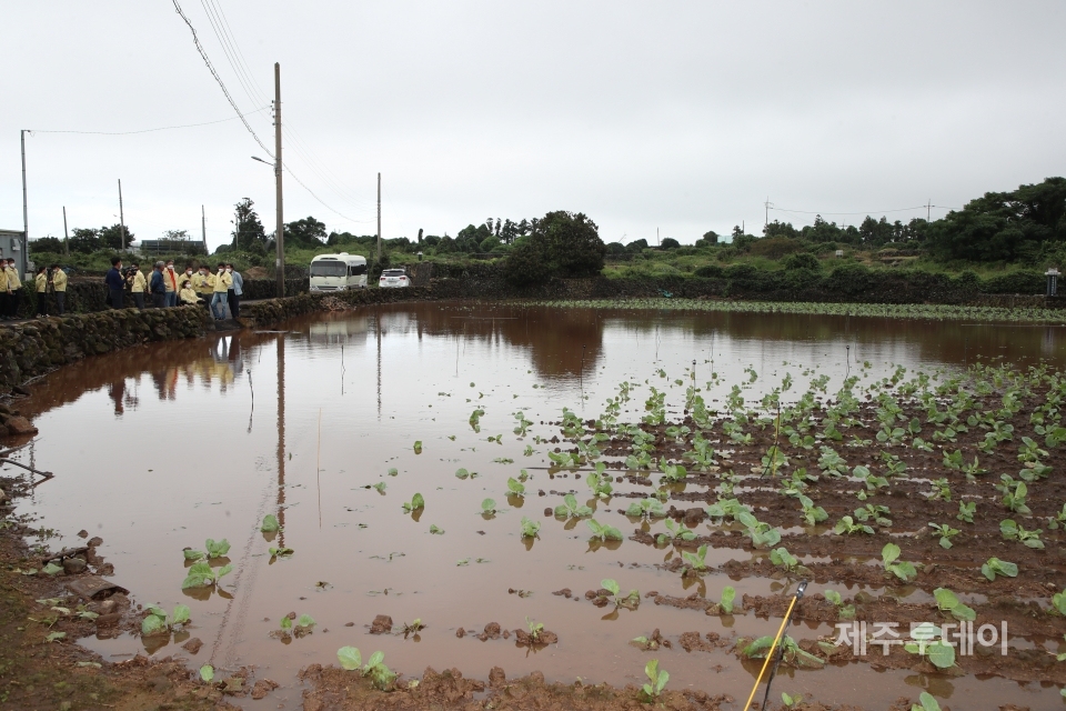 17일 제주도의회 농수축경제위원회가 태풍 '찬투' 피해를 입은 서부지역 월동채소 파종지를 둘러보고 있다. (사진=제주도의회 제공)