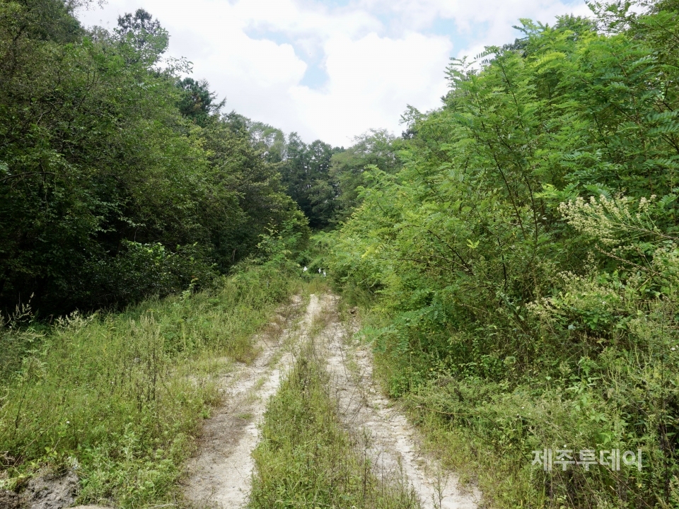 경북 김천시 구성면 송죽리산 돌고개 골짜기로 들어가는 길목. (사진=조수진 기자)