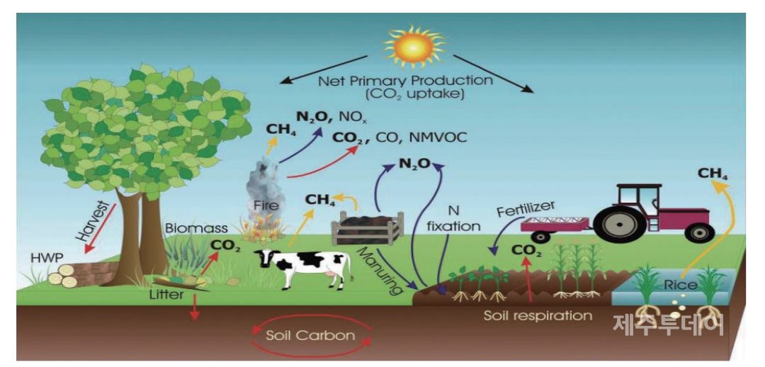 작물 재배 과정에서 발생하는 온실가스는 화학비료 또는 유기물 투입을 통해 주로 배출된다. 우리나라 주요 식량작물인 벼를 재배하기 위해서는 일방적으로 논에 물을 가두는데, 이때 볏짚, 퇴비 등 토양에 유입된 유기물이 혐기성 조건에서 미생물에 의한 분해가 일어나면서 메탄을 배출한다. 또 가축사육 과정에서 발생하는 온실가스는 가축의 소화기관 내 발효에 의한 메탄과 가축분뇨 혐기적 분해에 의한 메탄 및 아산화질소가 있다. 그뿐 아니라 농작물 잔사(찌꺼기)를 소각하는 과정에서도 메탄 및 아산화질소가 배출된다. (출처 2006 IPCC 가이드라인)