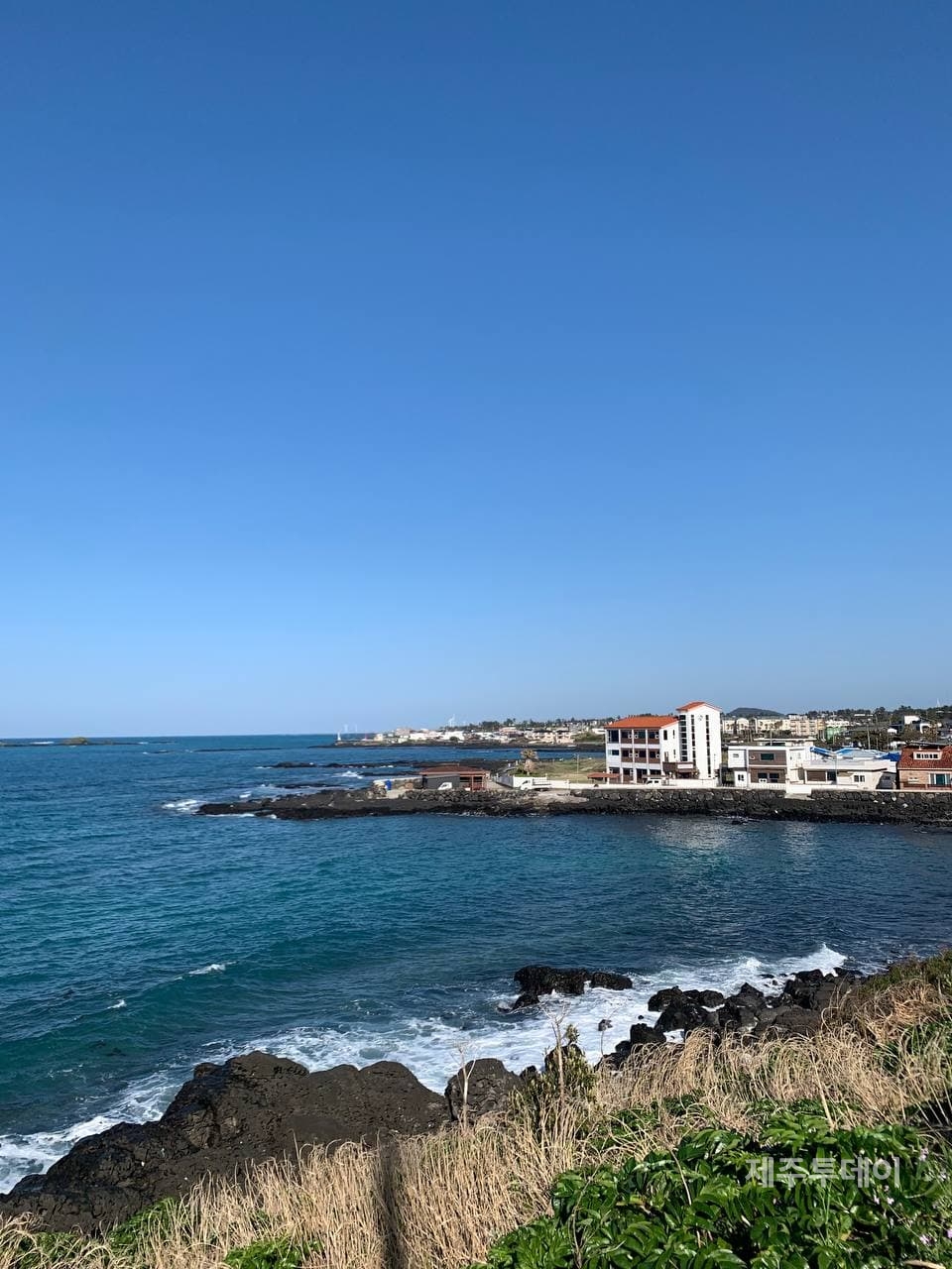 (사진=신동원 제공)