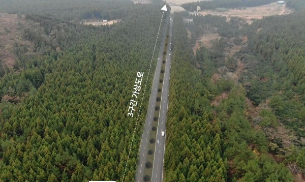 확장공사가 예정된 비자림로의 모습(사진=제주특별자치도)