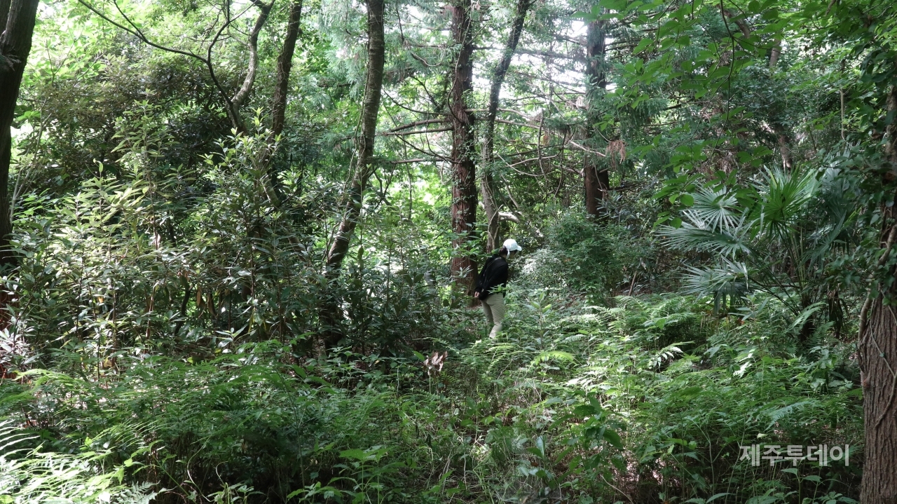 (사진=김정도 제공)