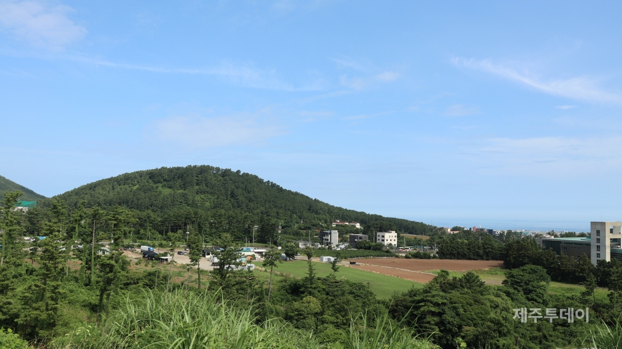 (사진=김정도 제공)