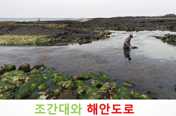 (사진=양수남 제공)