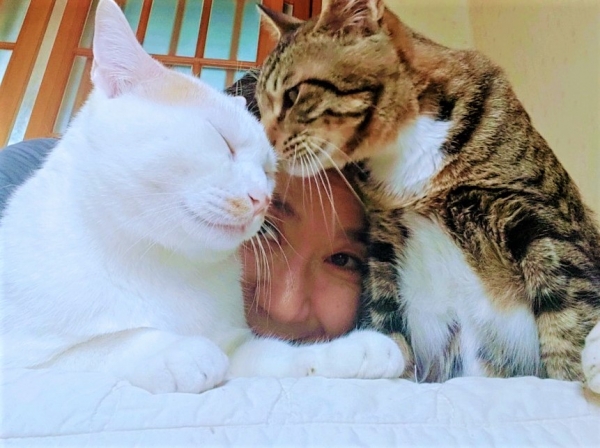 김미성 제주동물친구들 대표