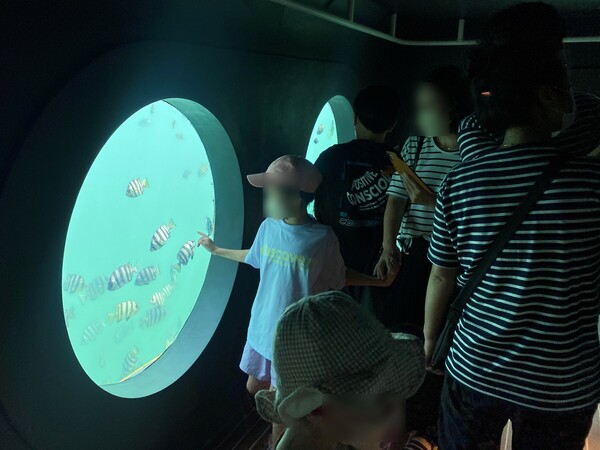 ㈜제주오션파크와 시흥리어촌계가 지난달 14일부터 운영 중인 이동식 바닷속 전망 시설(서귀포시 성산읍 시흥리 소재 공유수면 약 900㎡). 관람객들이 유리창을 통해 물고기떼를 구경하고 있다. (사진=박지희 기자)