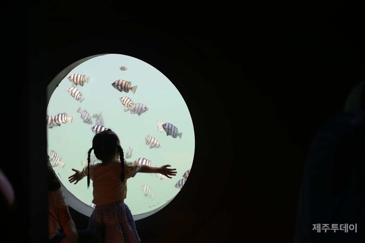 (사진=김재훈 기자)