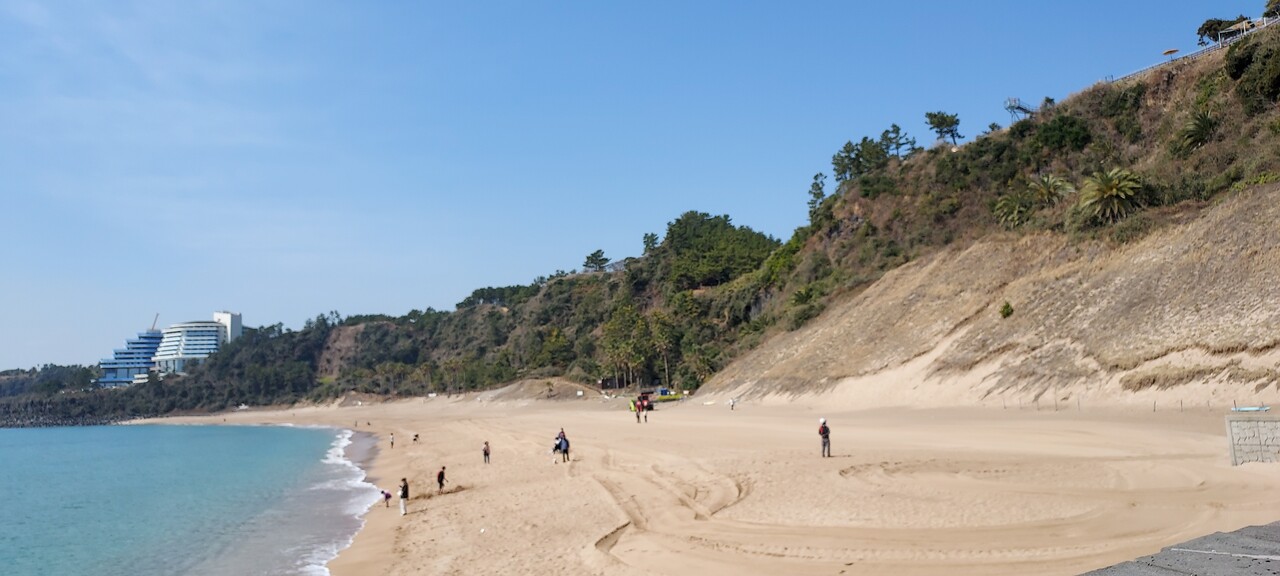 중문색달해수욕장은 국내에서 유일하게 바다거북 산란 기록이 있는 해변이다.(사진=제주자연의벗 제공)