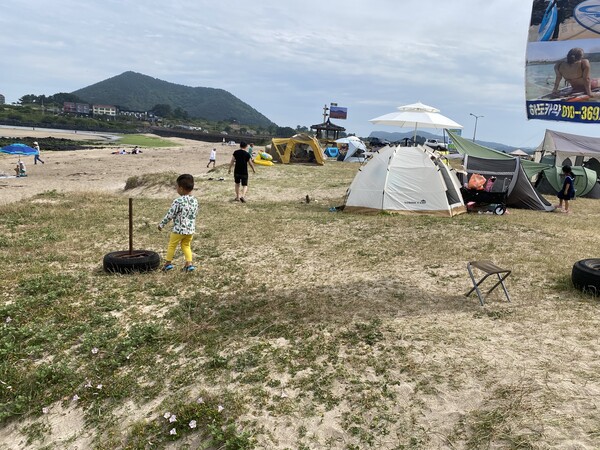 ▲  해안개발과 함께 최근 몇 년간 제주 해안에는 인파가 몰리면서 해안사구에 살던 종들의 서식에도 영향을 미치고 있다. 해안사구에 서식하는 생물과의 공존의 방법을 모색할 때다.(사진=제주자연의벗 제공)