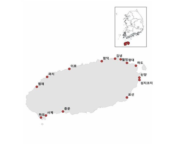 ▲ 환경부에서 지정한 제주도 해안사구(사진=제주자연의벗 제공)