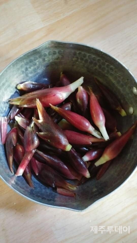 양애. (사진=송기남)