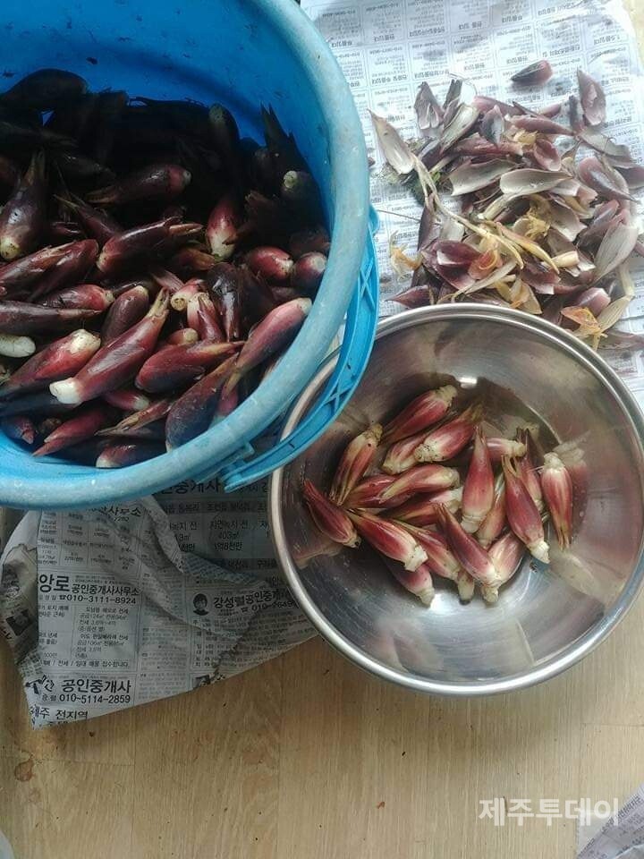 양애. (사진=송기남)