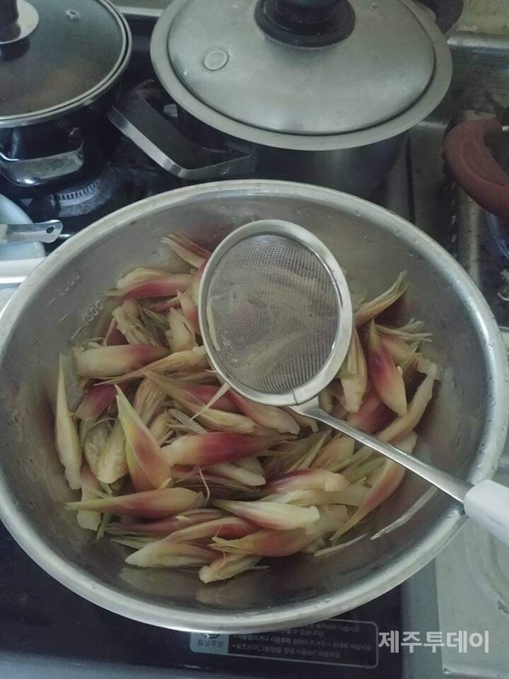 양애. (사진=송기남)