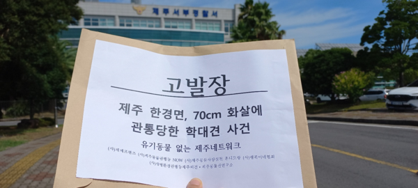 '유기동물 없는 제주네트워크'는 29일 화살에 관통된 학대견 사건을 제주서부경찰서에 고발했다. (사진=유기동물 없는 제주네트워크 제공)