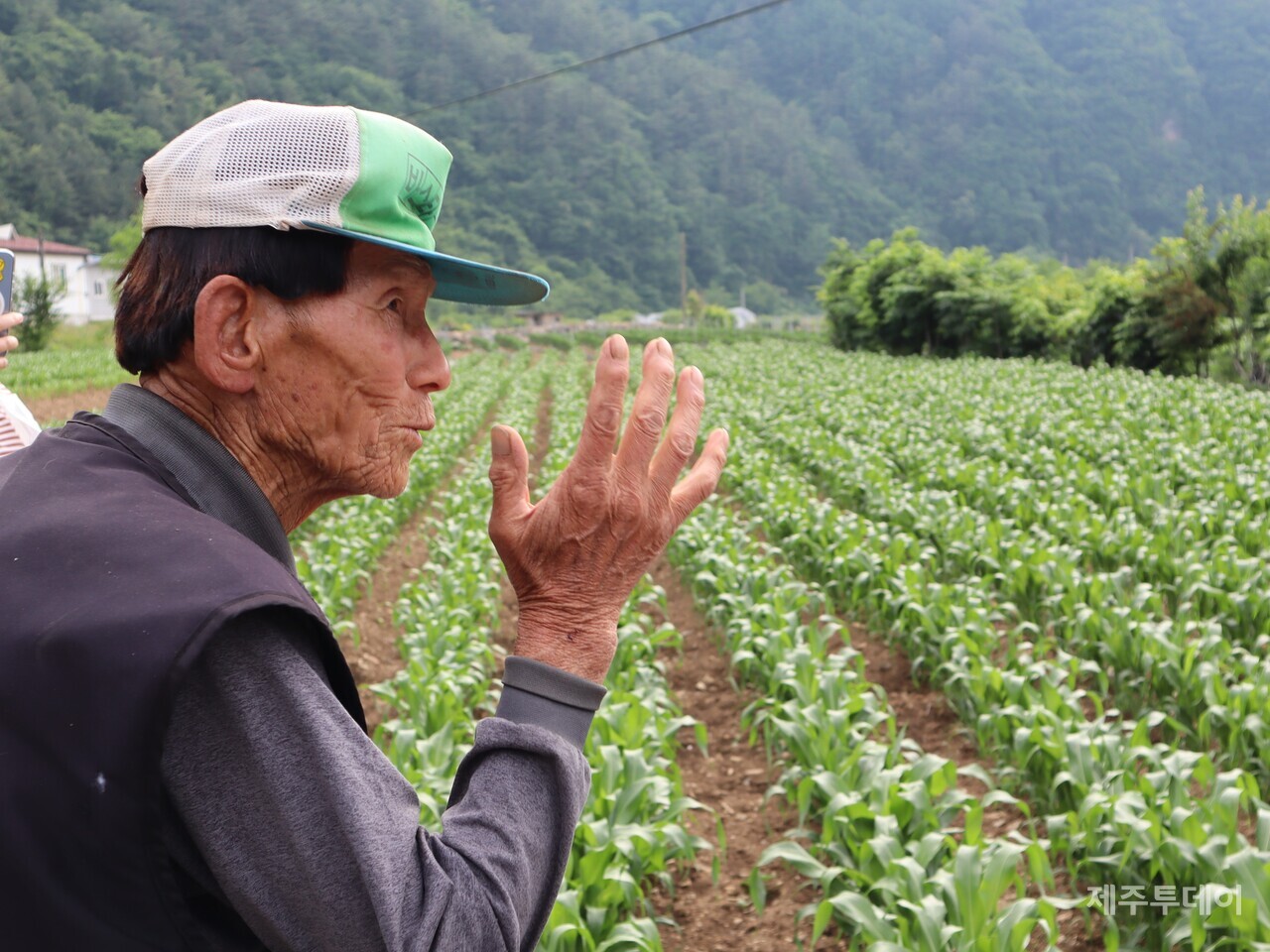 지난 6월18일 제주4·3 도외 유적지 조사단이 강원도 정선군 여량면 봉정리에서 이규열 할아버지를 인터뷰하고 있다. (사진=조수진 기자)
