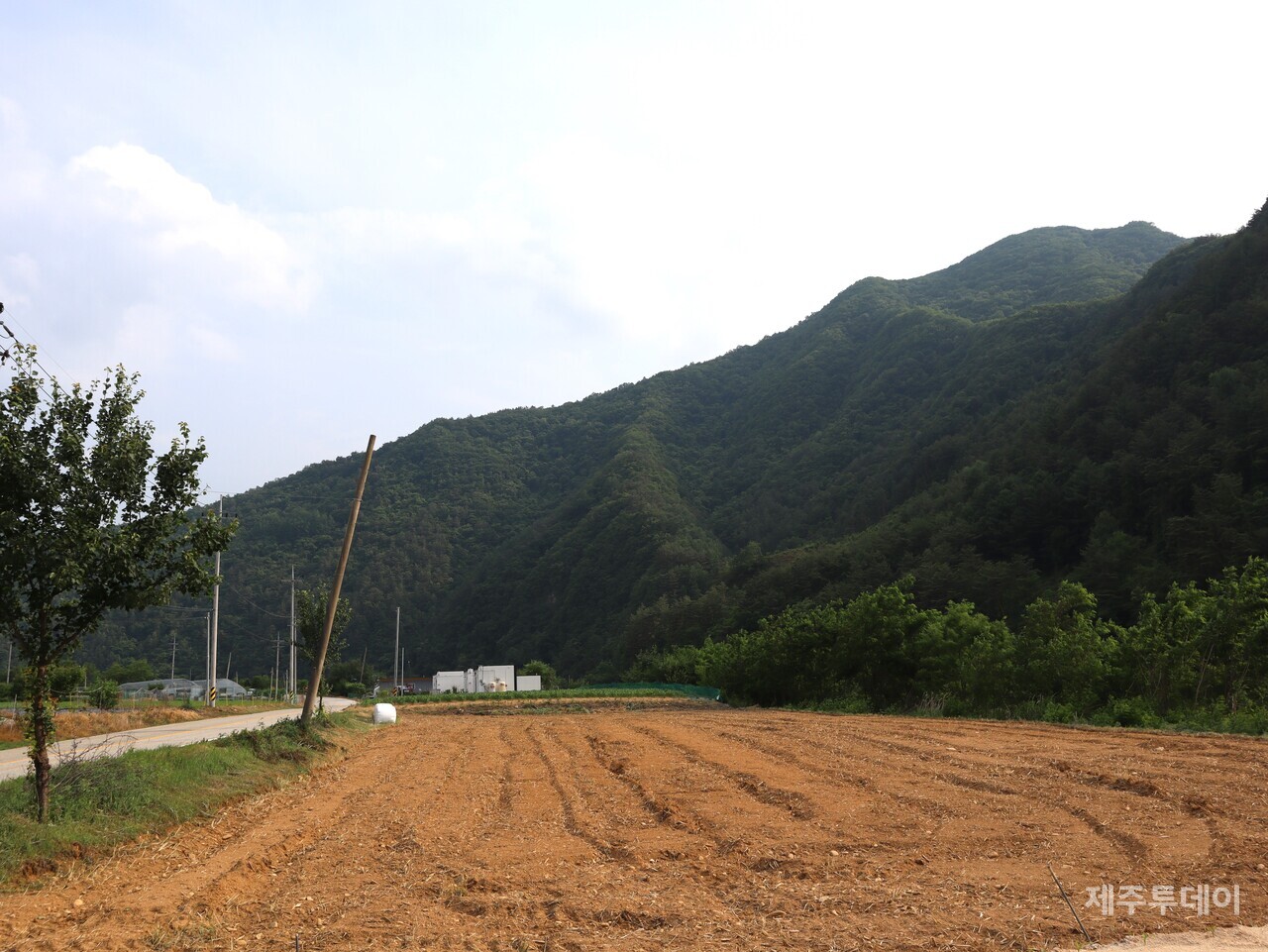 강원도 정선군 여량면 봉정리 승지골. (사진=조수진 기자)