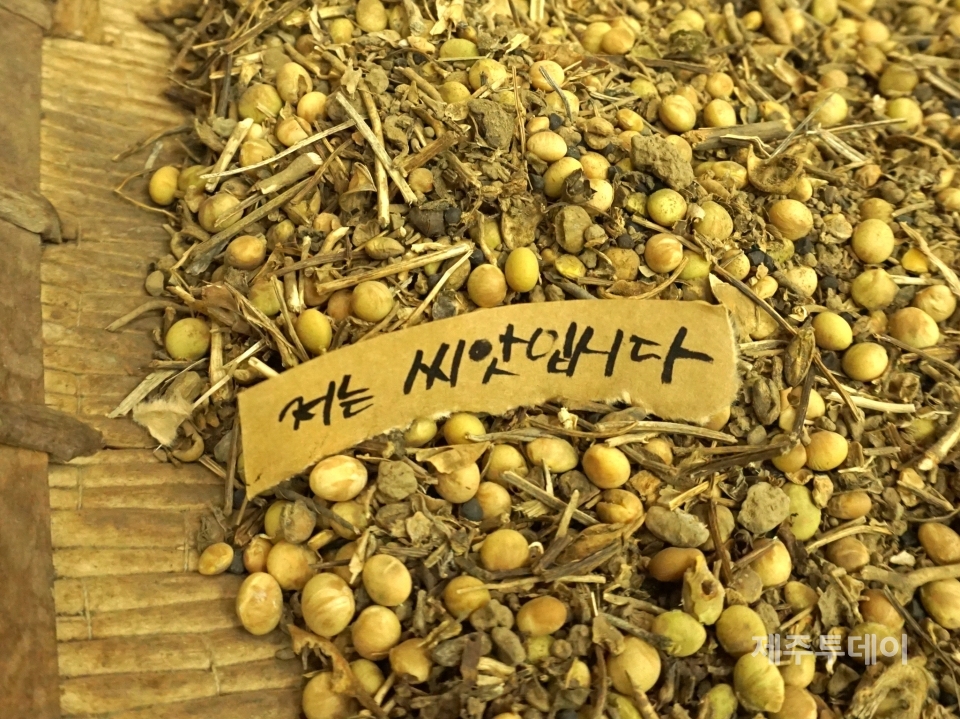 지난 4월22일 오후 제주시 연동 농어업인회관 1층에서 전국여성농민회총연합제주도연합이 2022년 토종발대식을 진행하고 있다. (사진=조수진 기자)