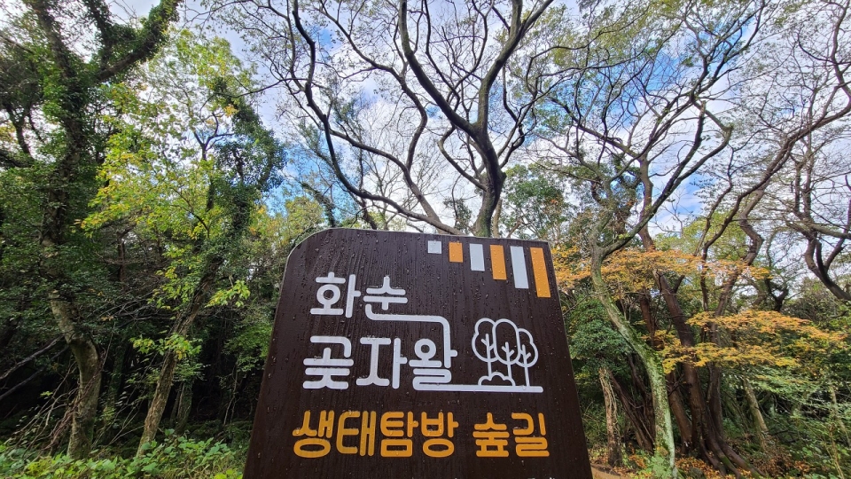 화순곶자왈 생태탐방 숲길. (사진=고은희 '길에서 만난 들꽃이야기' )