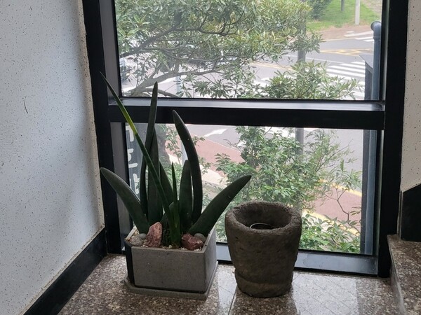 서귀포시 호근동에 위치한 '인터뷰 책방'. 2층으로 가는 계단마다 놓여있는 식물들이 반겨준다. (사진=요행)