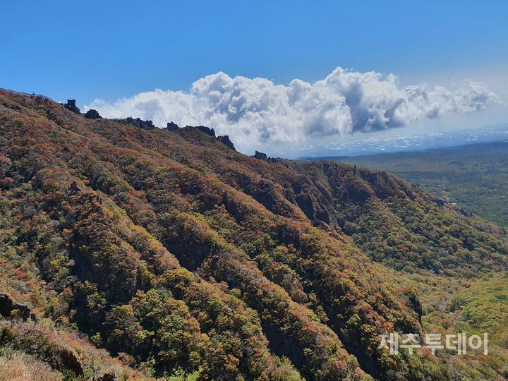 한라산 영실의 가을 풍경. (사진=고승욱)