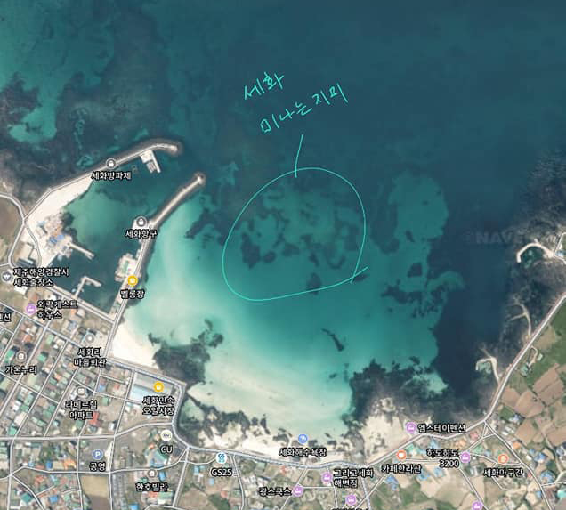 제주시 구좌읍 세화 앞바다. (사진=네이버 지도 갈무리)