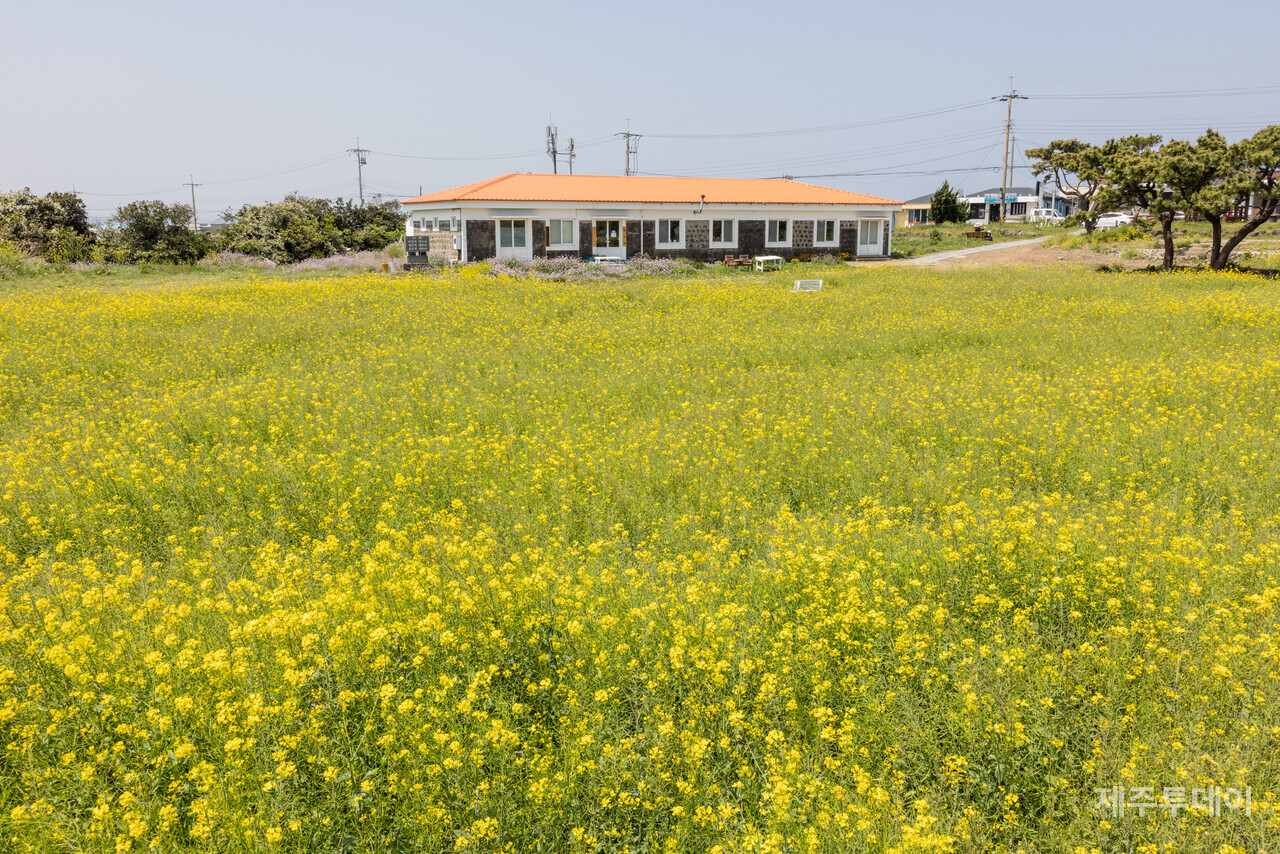 제주 우도 내 연평국민학교 옛 터. (사진=양동규 작가)