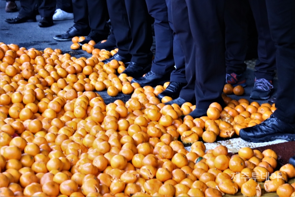 지난 2020년 1월 13일 제주 감귤 농민들이 제주도청 앞에서 감귤 가격 안정 대책을 촉구했다.(사진=김재훈 기자)