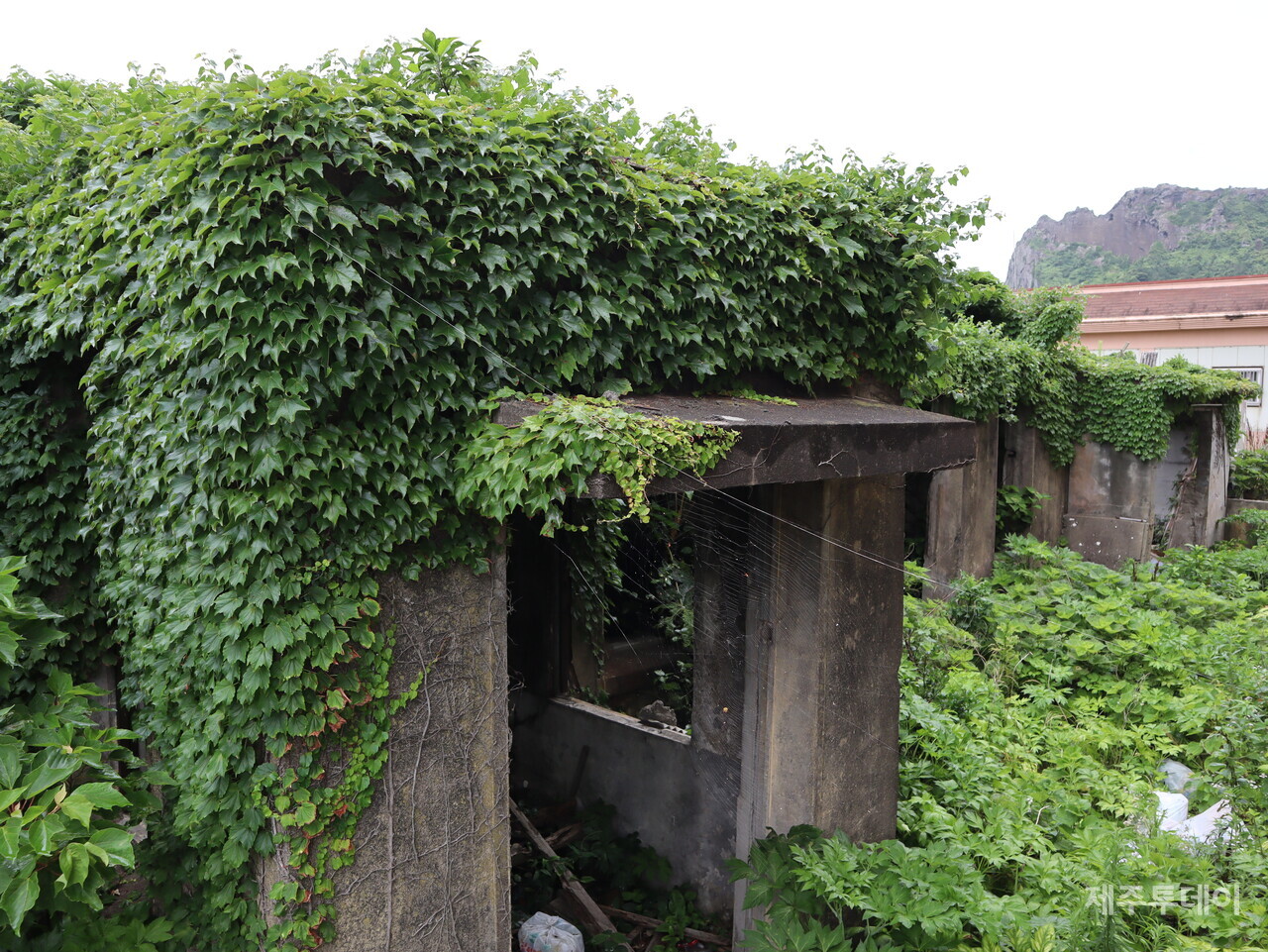 서북청년단이 주둔했던 성산동국민학교 옛 터. (사진=조수진 기자)