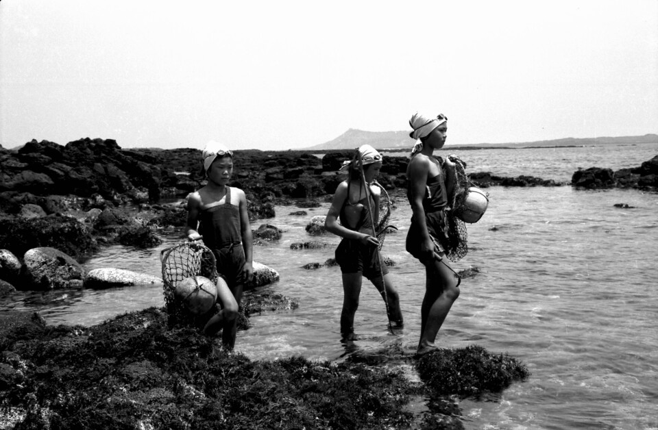 제주의 소녀들은 대략 12~14세가 되면 첫 물질을 시작합니다. 어린 해녀를 ‘애기 좀수’라 부릅니다.(사진=만농 홍정표)
