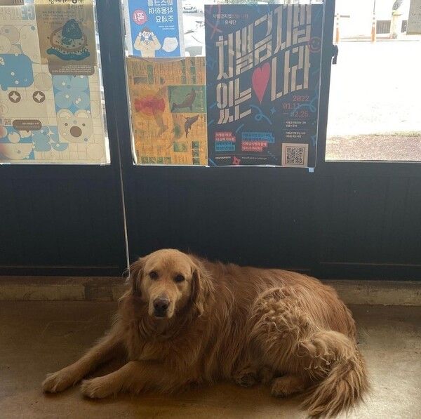 책방 어떤바람의 트레이드마크, 산방이. (사진=어떤바람 SNS 갈무리)