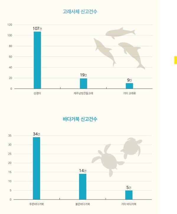 25일 제주환경운동연합이 발간한 '지속가능한 바다를 위한 제주지역 불법어업(IUU) 보고서'에 따르면 지난2018년부터 2021년까지 접수된 고래류와 바다거북 사체 발견 신고 건수는 각각 135건과 53건이다. (그래픽=제주환경운동연합)
