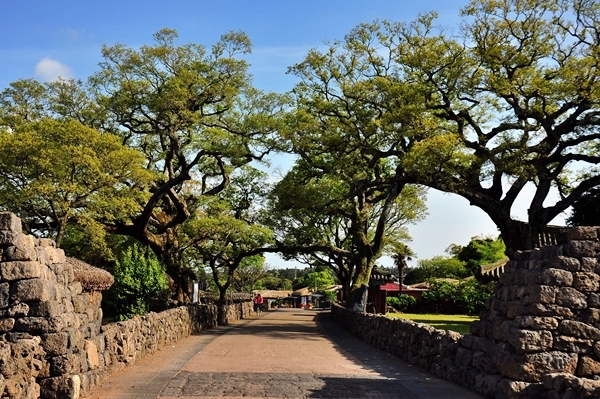 성읍리. (사진=국립산림과학원)