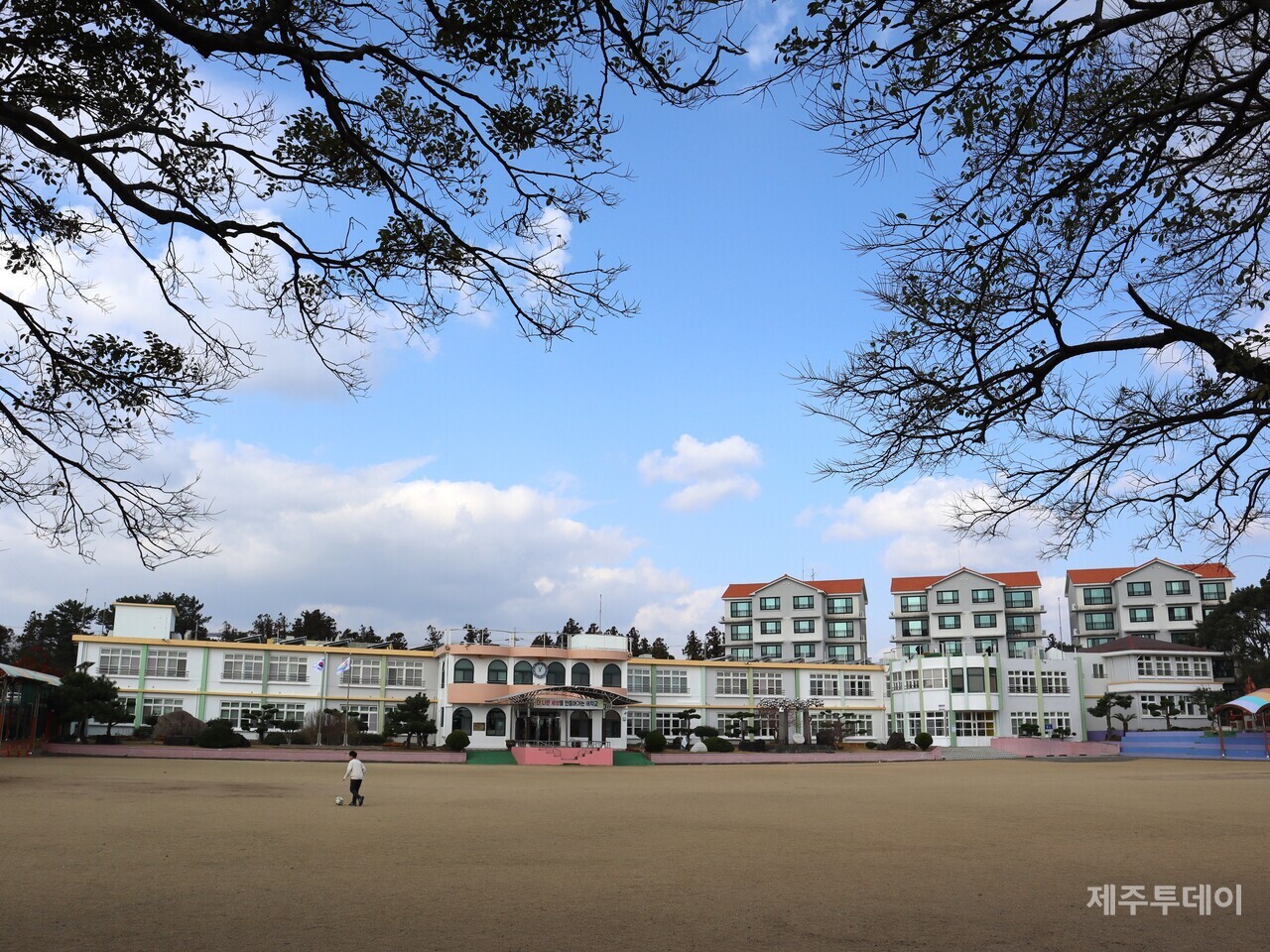 표선초등학교. 옛 표선국민학교. (사진=조수진 기자)