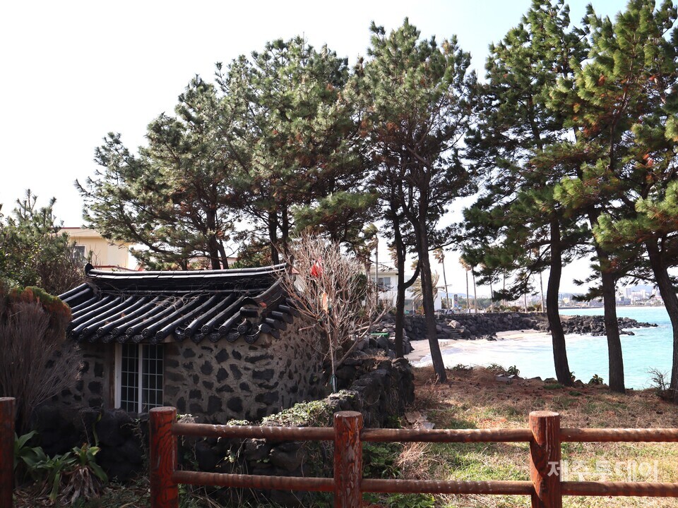 당케해변. 왼쪽에 세명주할망을 모신 당이 뒤쪽에 백사장과 바다가 보인다. (사진=조수진 기자)