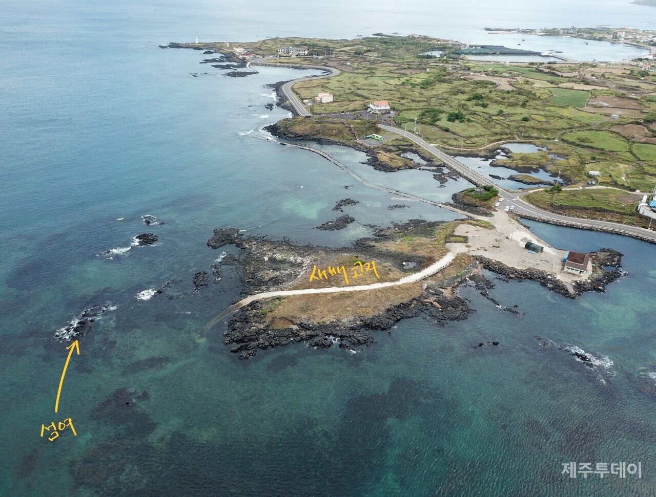 조천리 새배코지 앞 섬여입니다. (사진=고승욱)