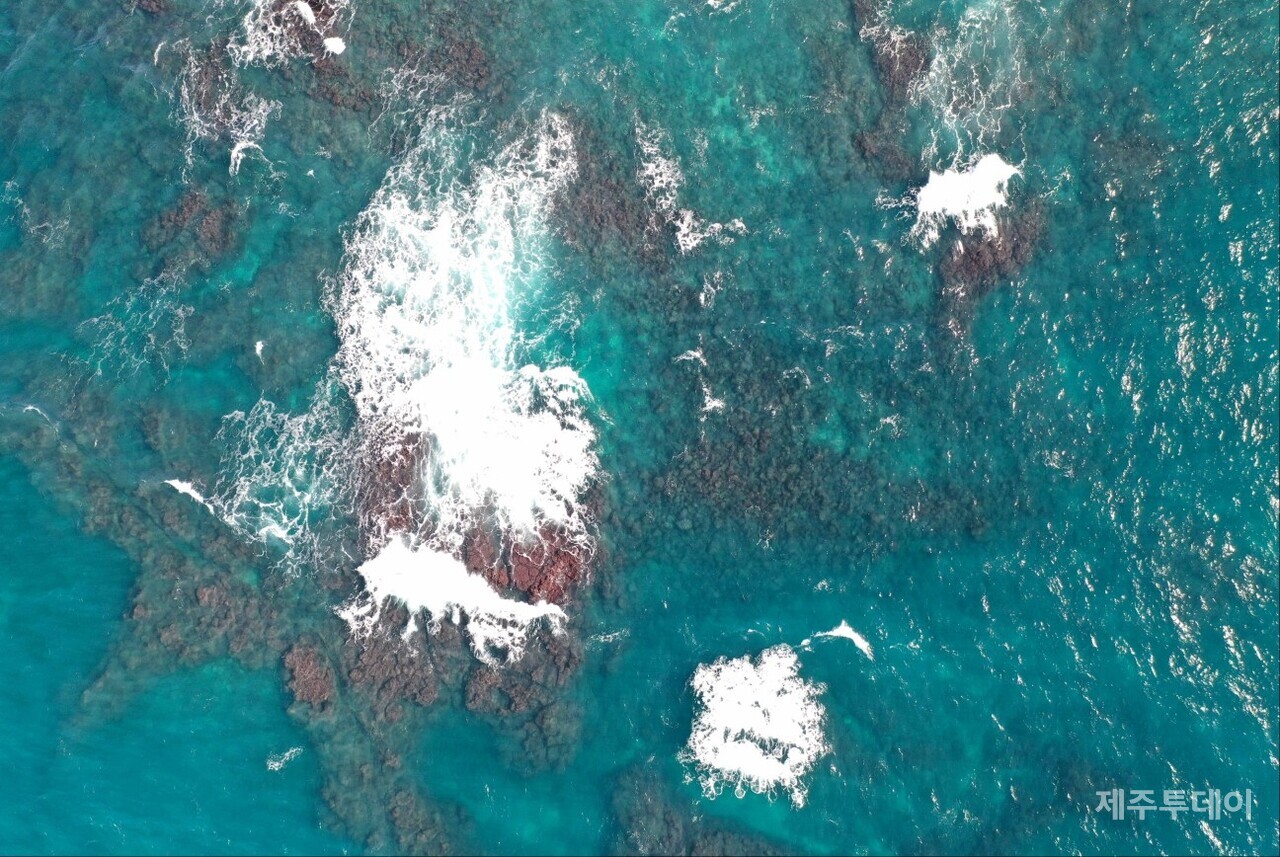 새배코지 앞 섬여 주변 머흘의 모습입니다. 사진이라 가늠이 안되지만 돌 하나의 크기가 소형차만 할 것으로 짐작됩니다. 섬여와 파도가 만들어낸 장관입니다.(사진=고승욱)