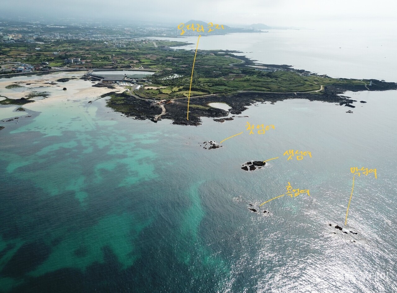 신흥리 오다리코지 앞에는 섬여가 넷이 있습니다. 첫섬여, 샛섬여, 혹섬여, 막섬여입니다. (사진=고승욱)