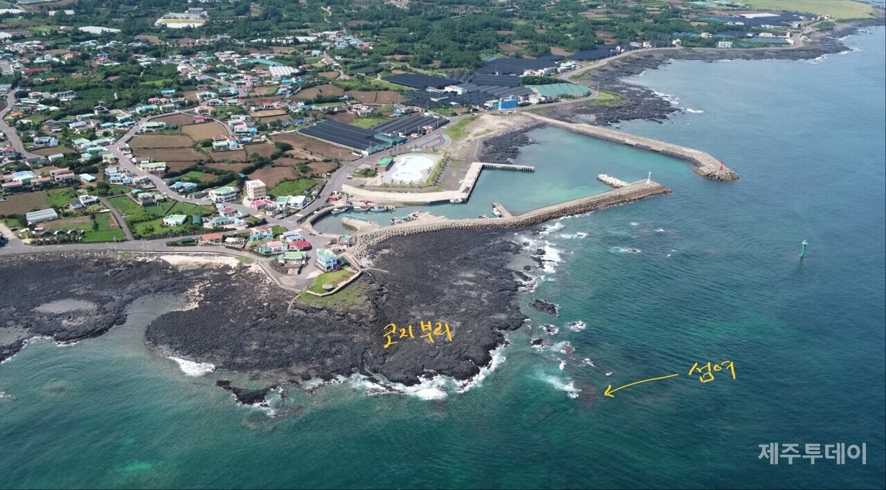 성산읍 신천리 코지부리 앞 섬여입니다. (사진=고승욱)