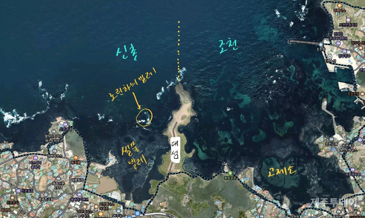 ‘대섬’을 경계로 동쪽은 조천바다 서쪽은 신촌바다입니다. 신촌바다 갯곳에 ‘씰물빌레’가 있고, 그 앞에 ‘노란하늬빌레’가 있습니다. (사진=다음 위성지도 편집)