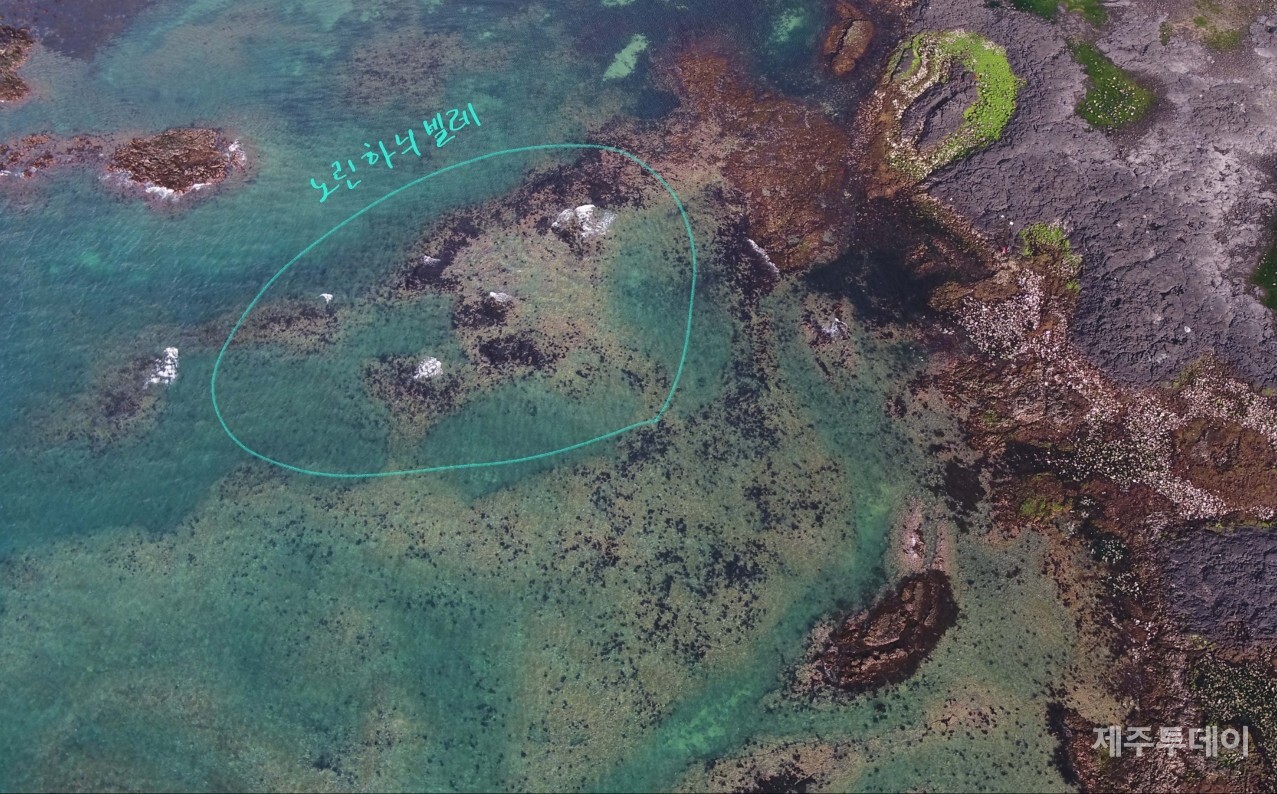 물이 빠지는 썰물에 ‘노린하늬빌레’의 봉우리 대여섯 개가 보입니다.(사진=고승욱)