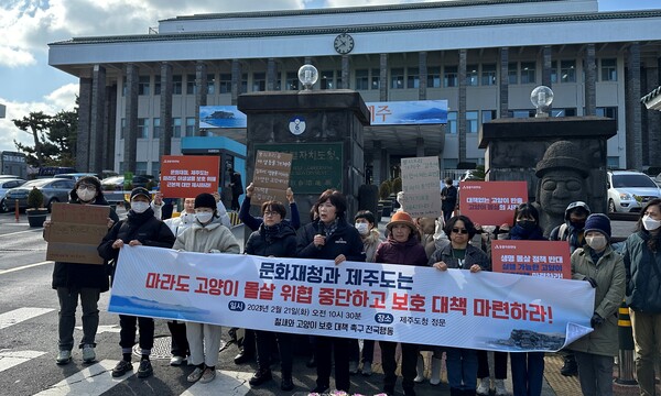전국 동물권 단체 22개로 꾸려져 있는 '철새와 고양이 보호 대책 촉구 전국행동'은 21일 제주도청 앞에서 기자회견을 열고 "뿔쇠오리 등 야생생물 개체 수 감소에 영향을 미치는 다양한 요인에 대한 대책을 수립하라"고 촉구했다. (사진=박지희 기자)